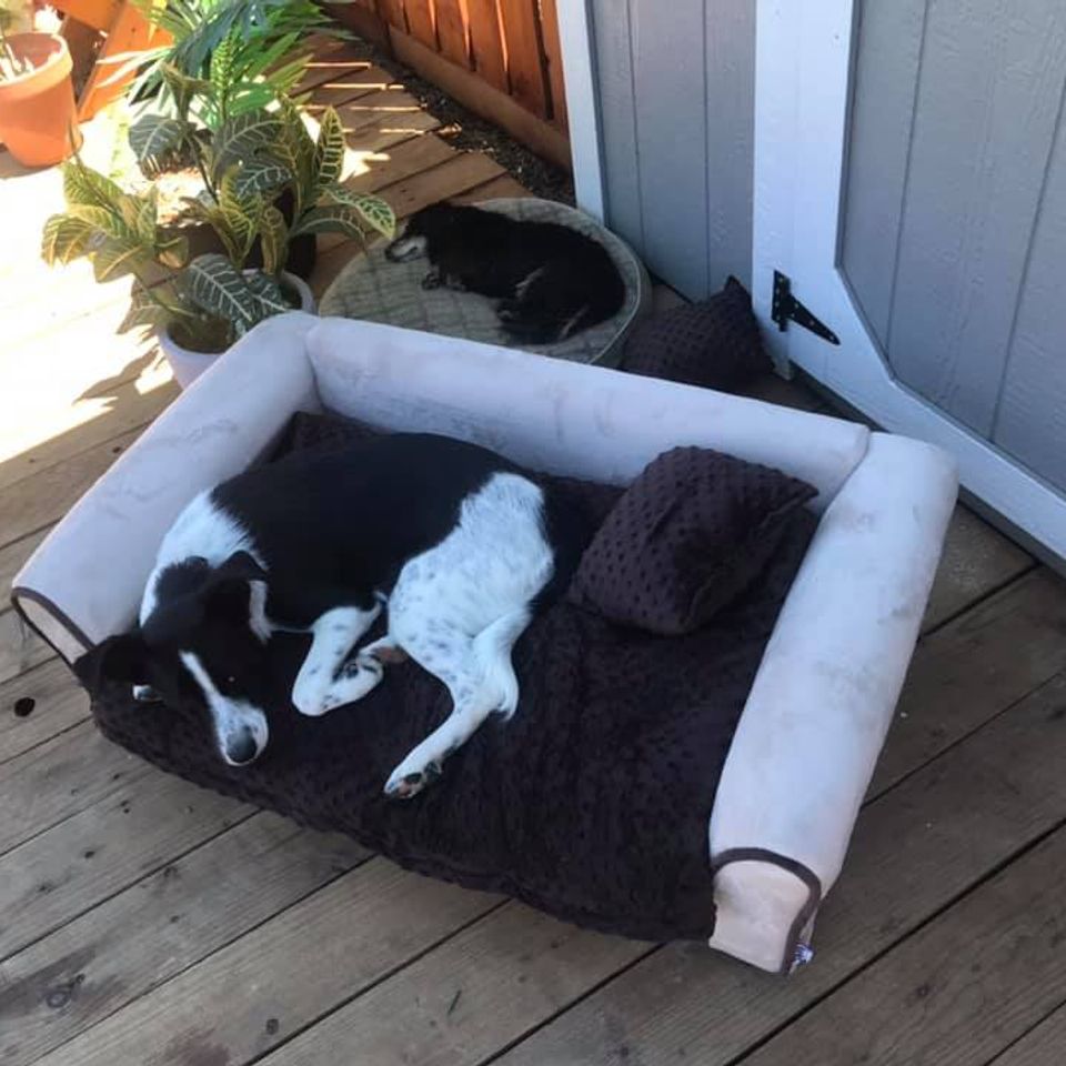 470575836 1016089413905990 8803127119345907255 n