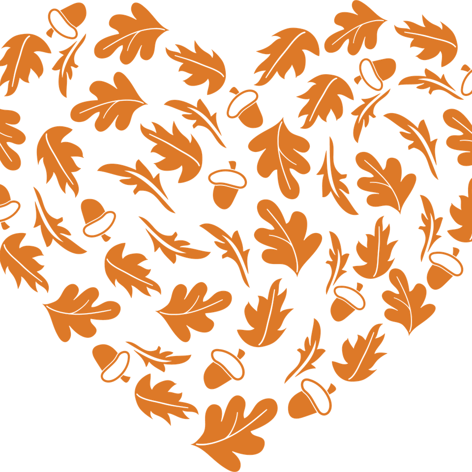 Seasons   fall fall heart fall 12