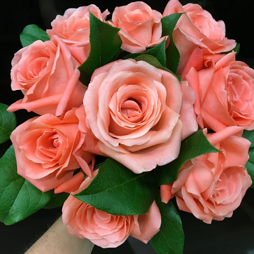 Lf bridal 31