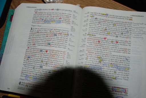 Bible translation
