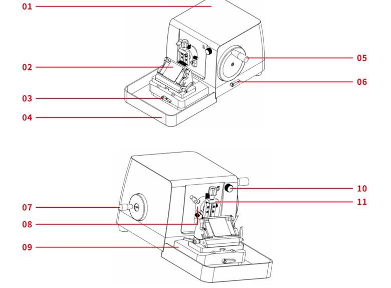 Image (20)