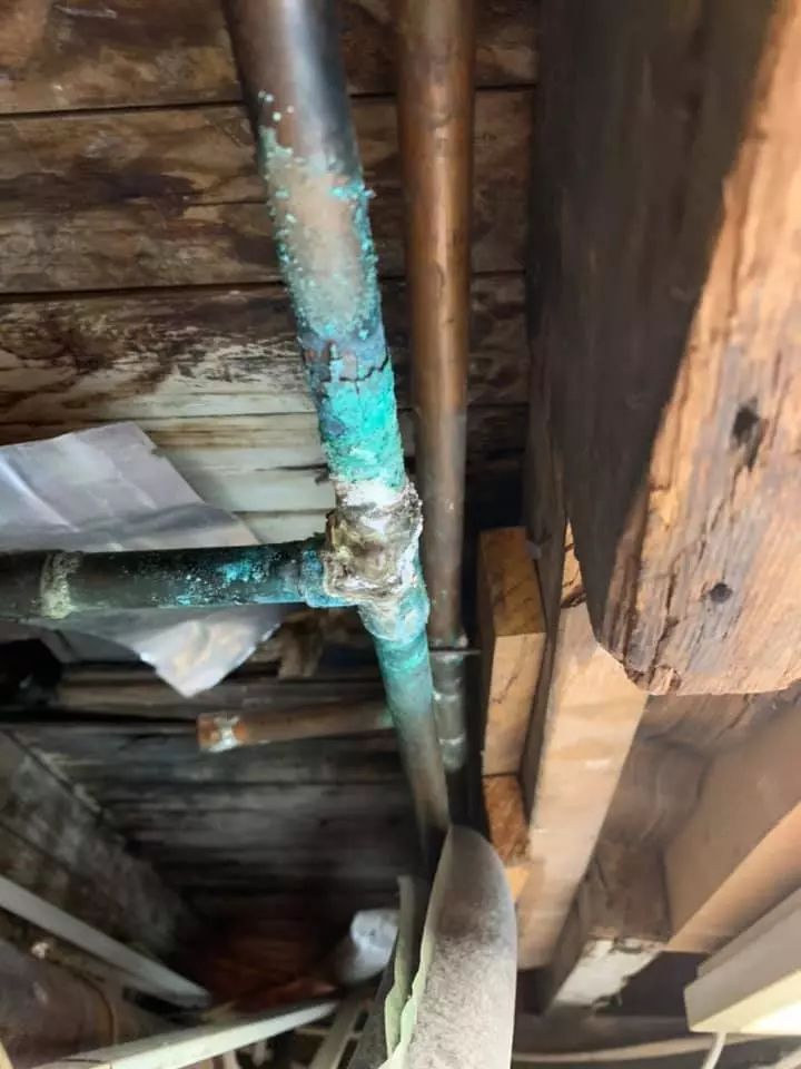 Genoa leak detection services