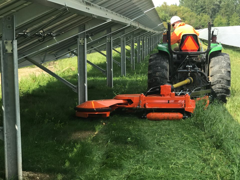 Main mowing photo