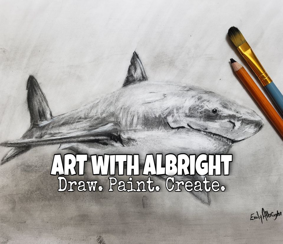 How to Draw Realistic Shark by artist Emily Albright