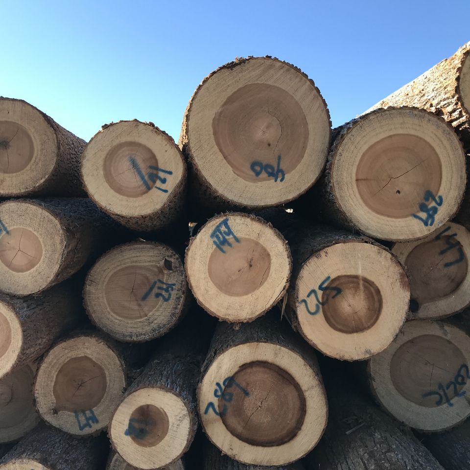 Williams lumber 04620171025 26787 4zcanq