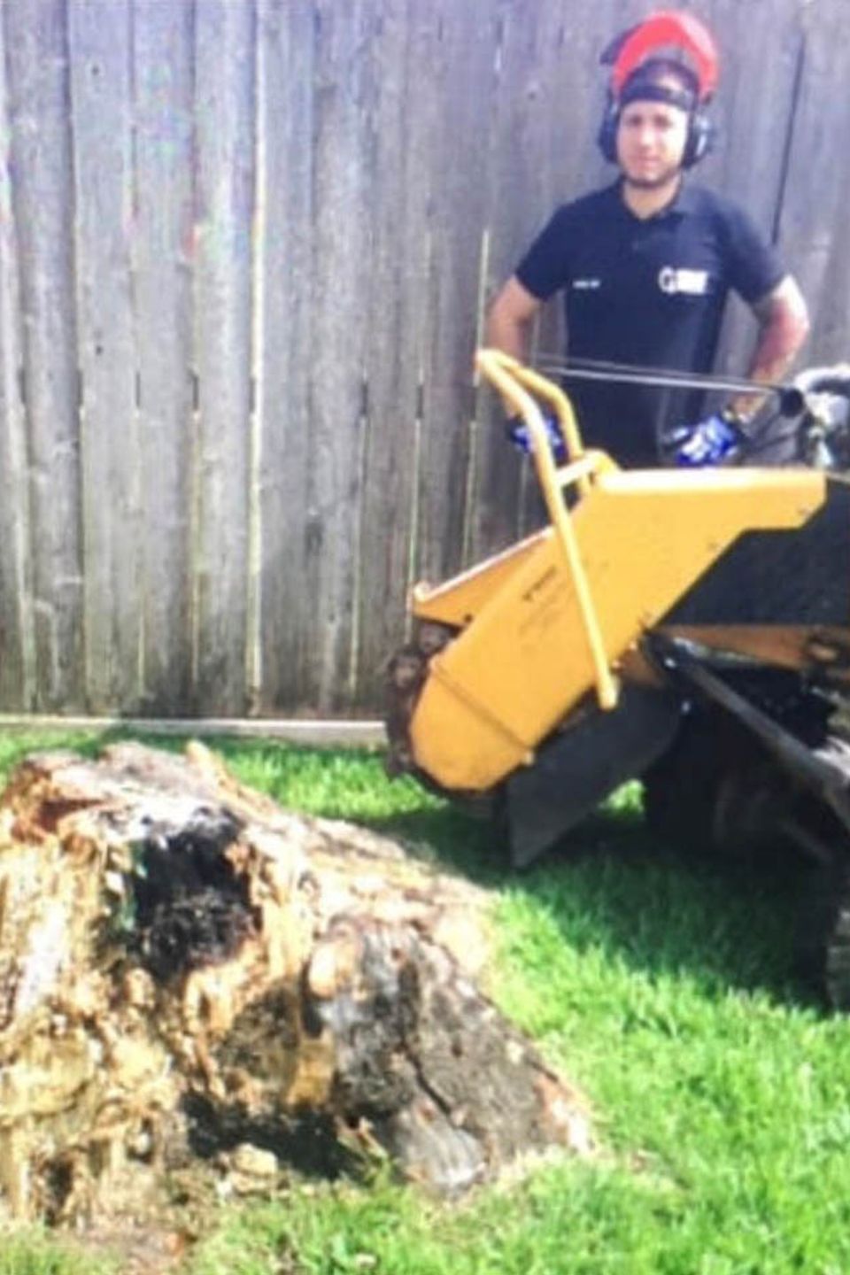 Natures tree stump removal machine