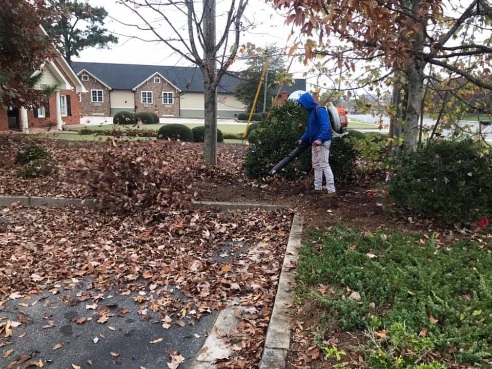 Lawn service original
