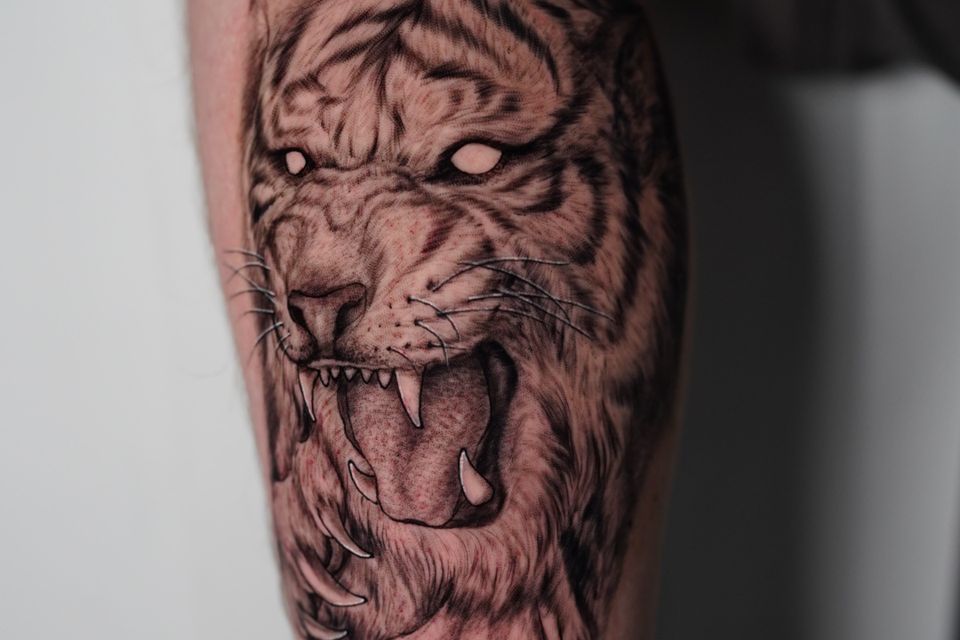 Image of a man's outer right calf of a tattoo of an attacking blind tiger in black, grey and white