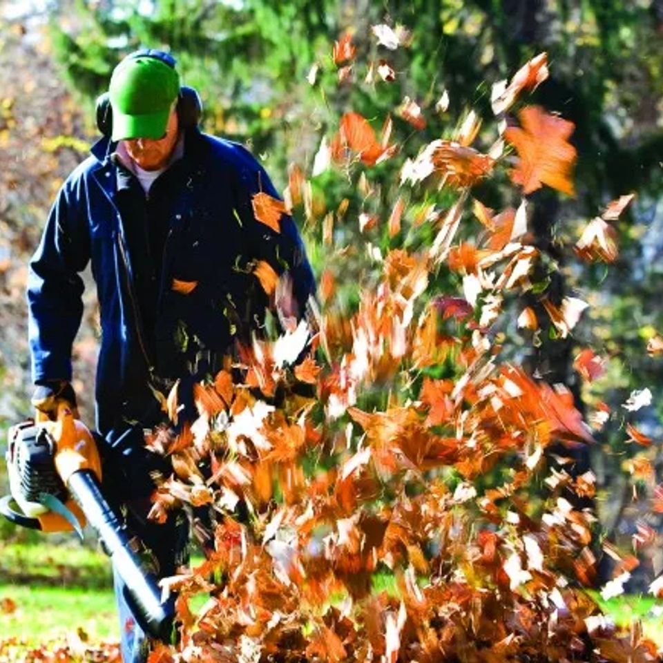 Home leaf blower test