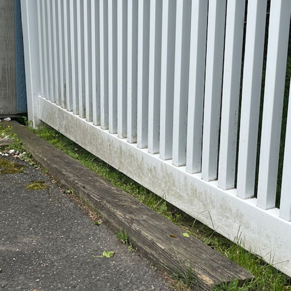 Img 0170