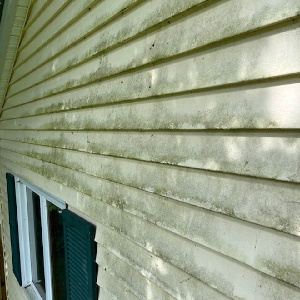 Img 0503