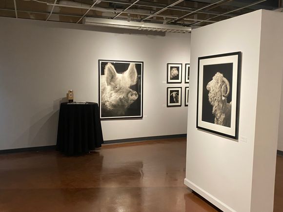 Horan exhibit photo 8