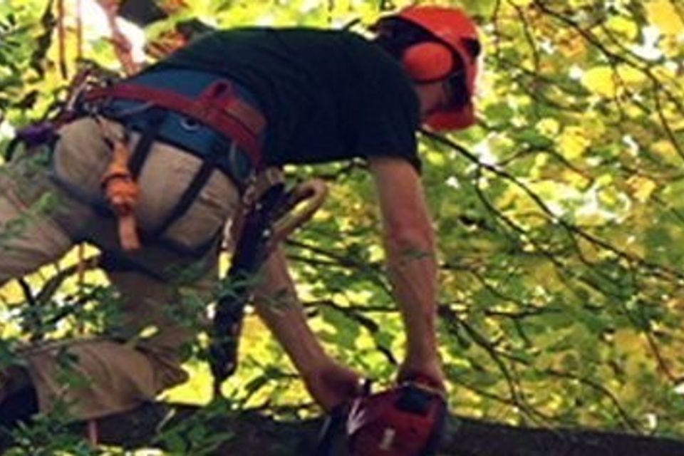 86b1a5d3 8f9d 484e 8b73 aaf124078368