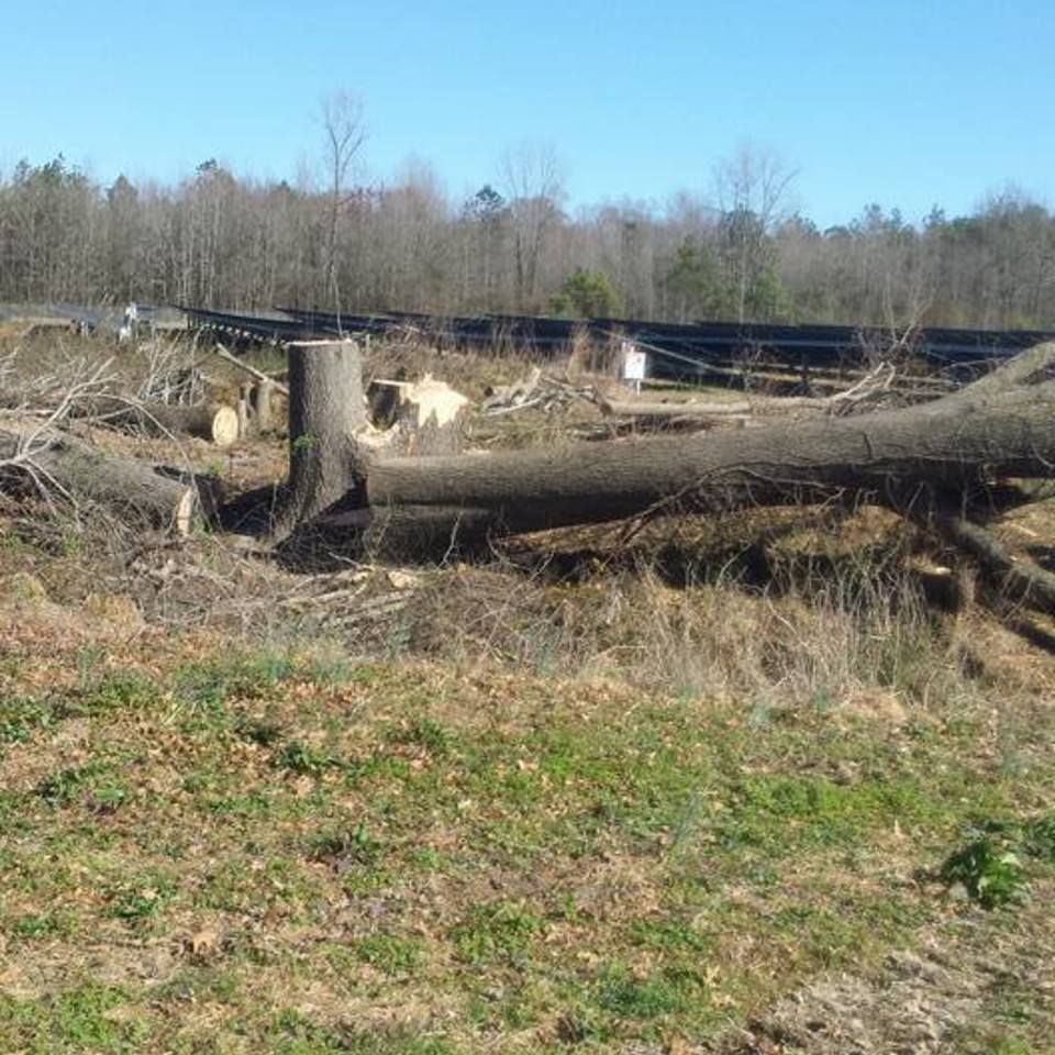 Carolina construction plus tree removal