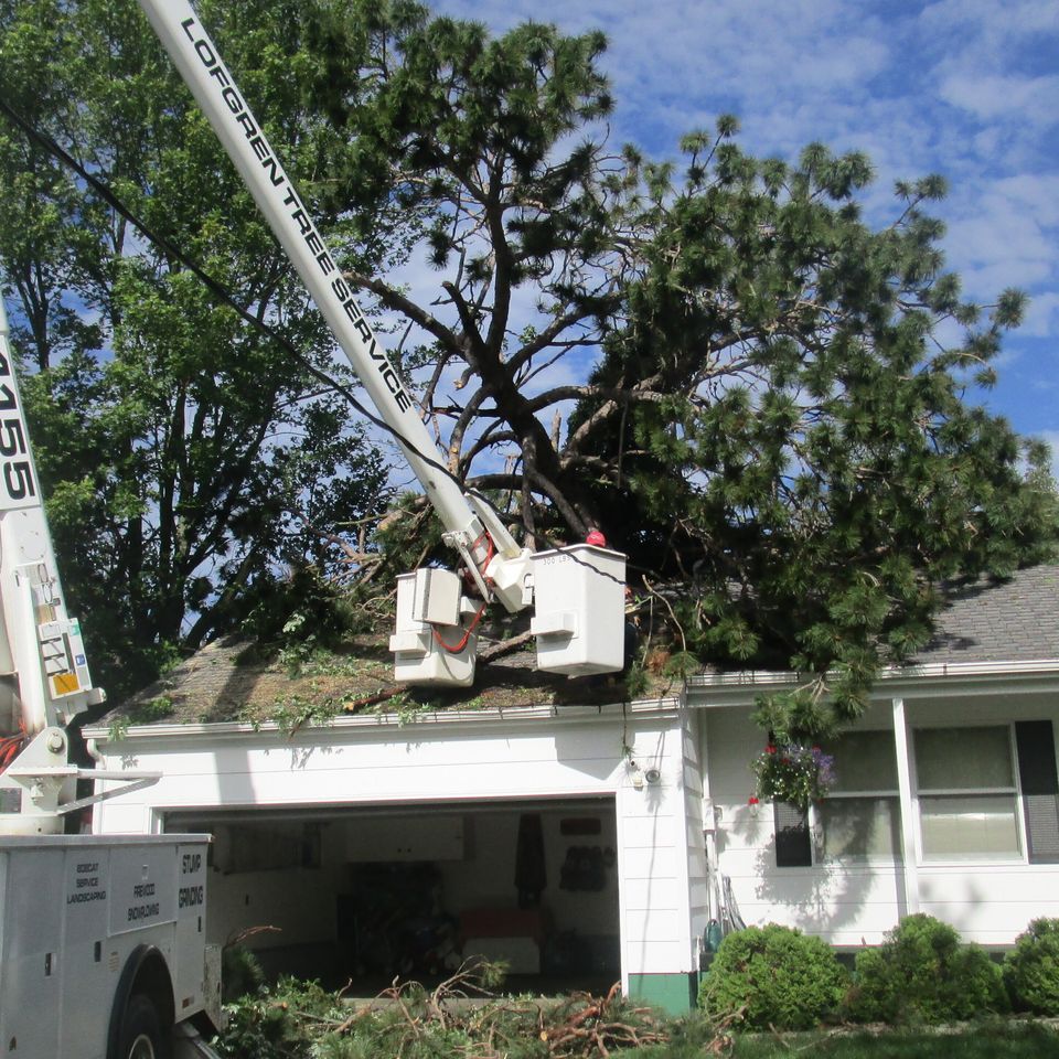Storm cleanup 1