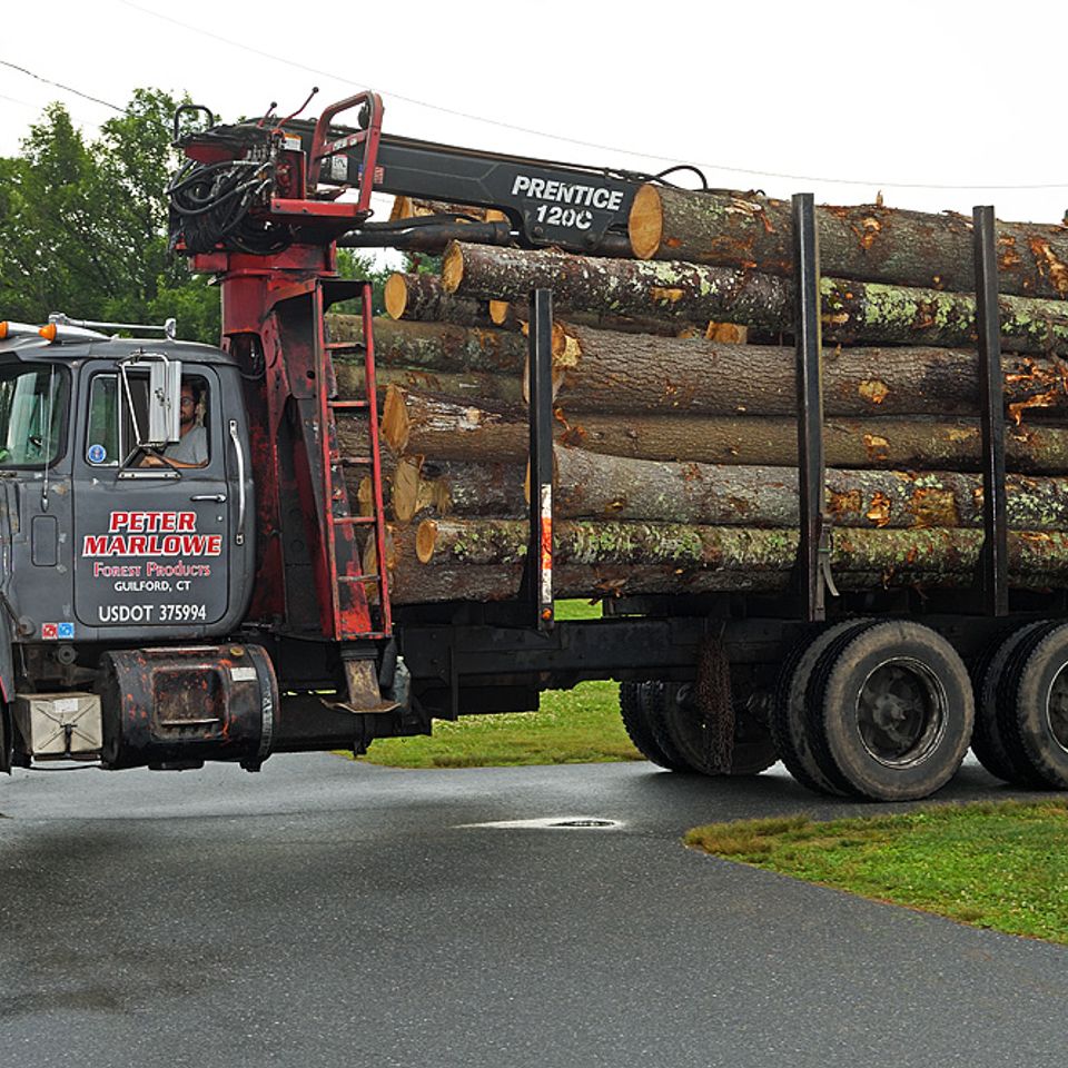 653445383 1237347455254688 7811172682444728172 n