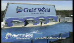 Paul miller gulf world