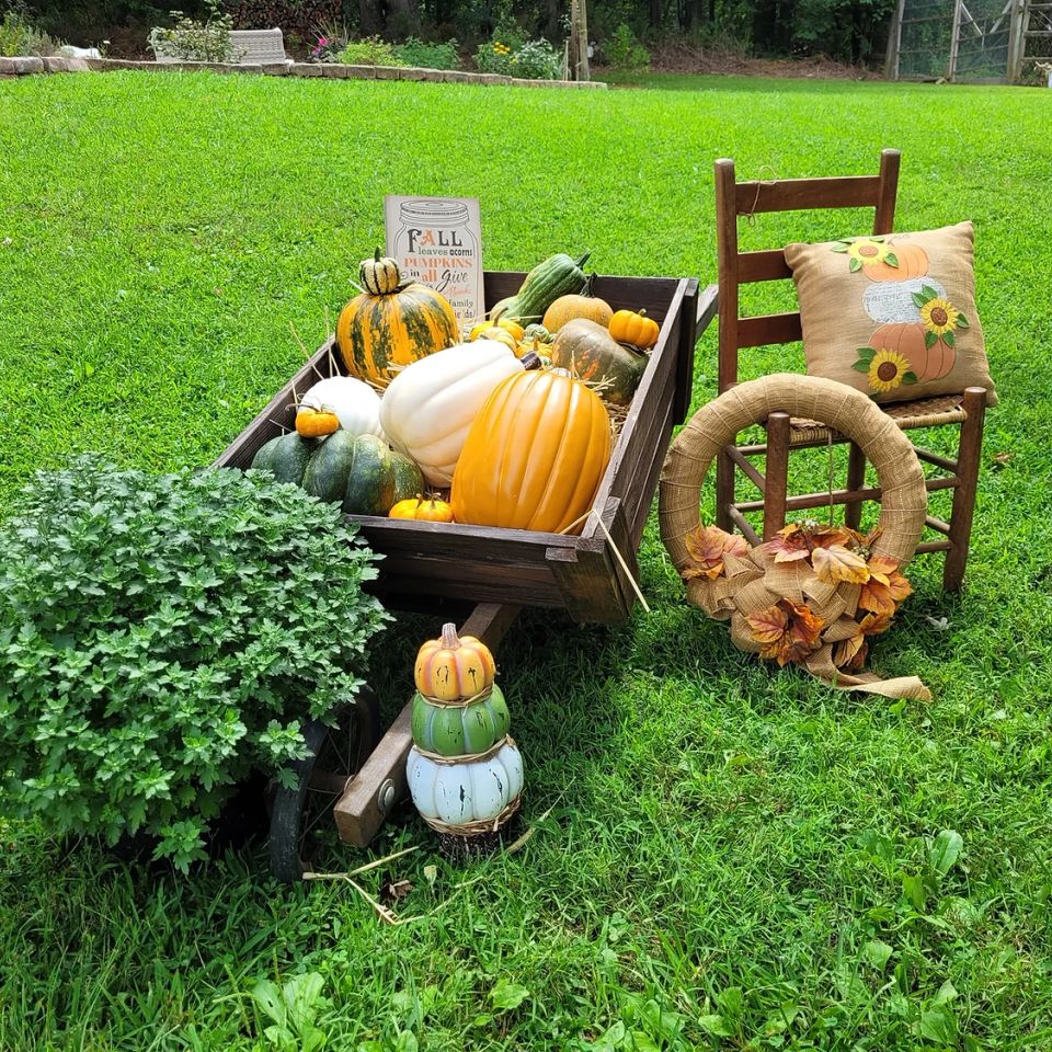 Pumpkin wheelbarrow