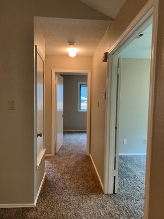 Img 0841