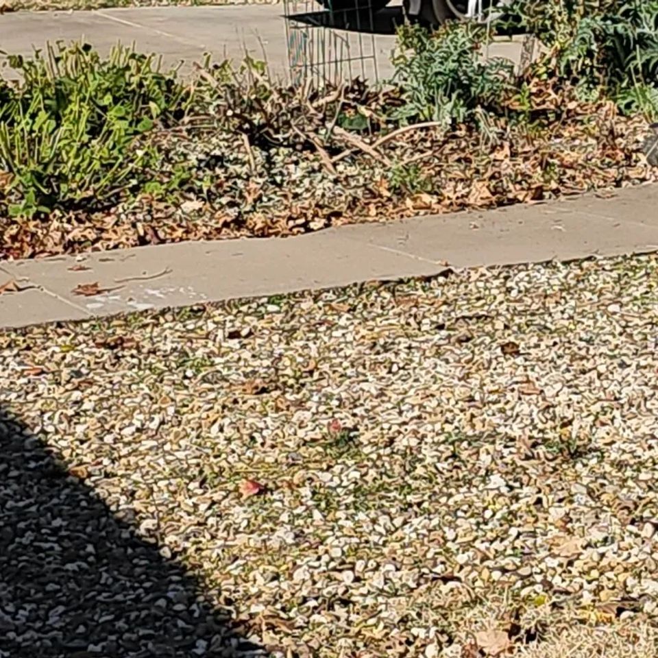 Unnamed (15) original (1)