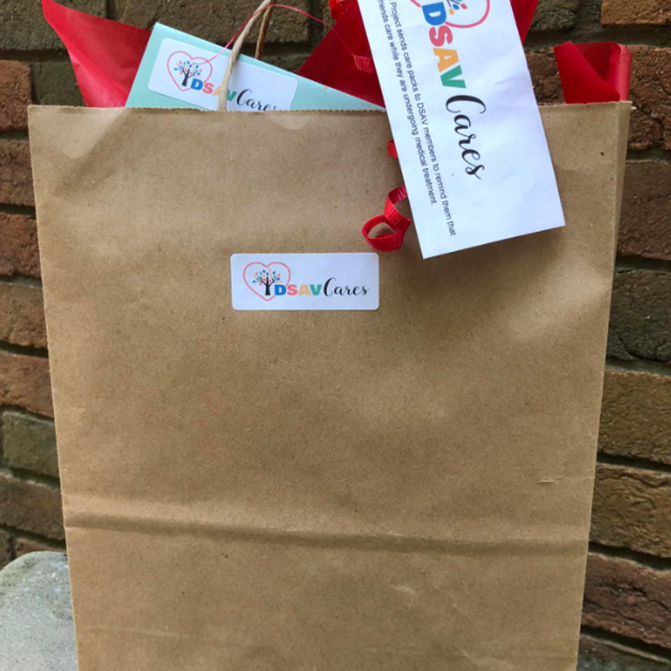 A DSAV Cares gift bag filled with resources and care items, wrapped in red tissue paper and labeled with the DSAV Cares logo.