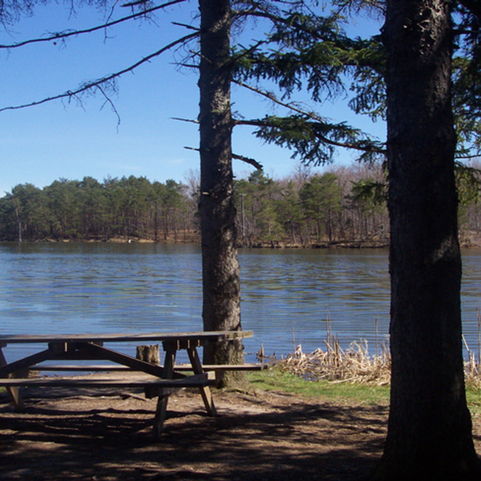Boughton park