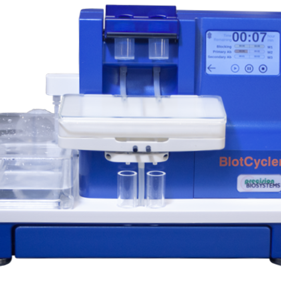 BlotCycler-mini, Automated Western Blot Processor