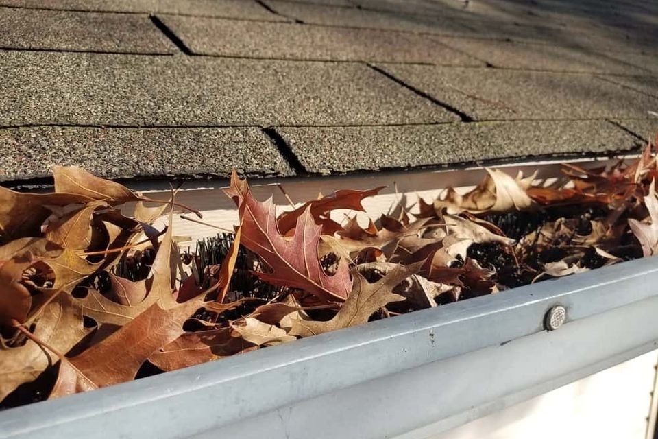 Gutter vacuum