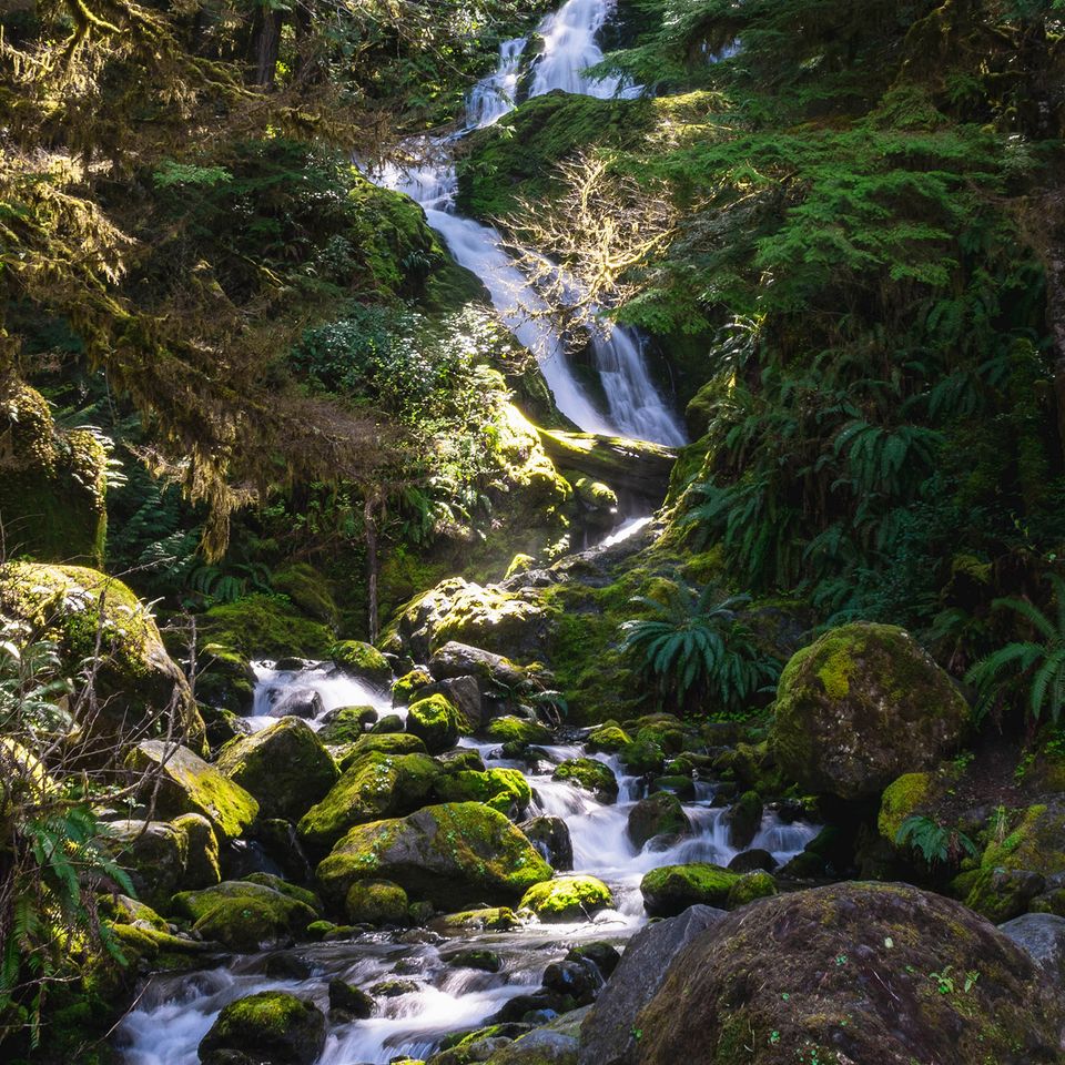 Bunch falls k.mcgregor