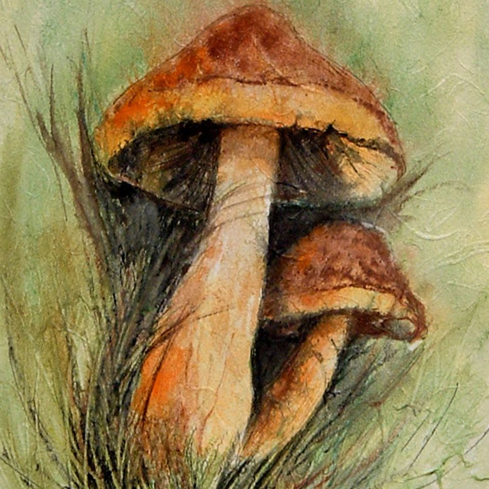 Mushrooms