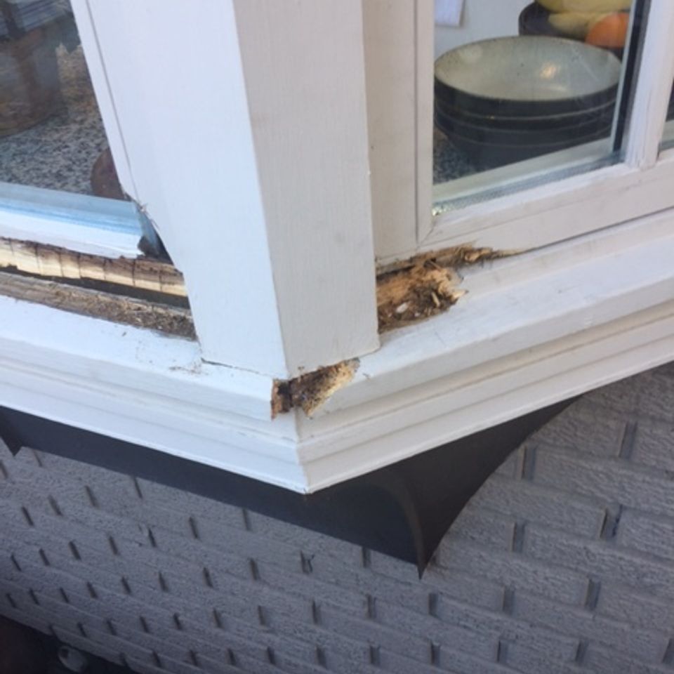 Wood rot repair specialists   window sill   img 305920170317 32437 11uqm1p