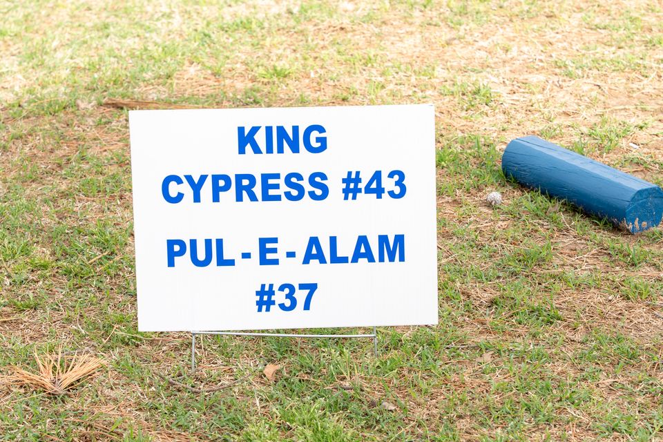 Dsc03604 enhanced nr