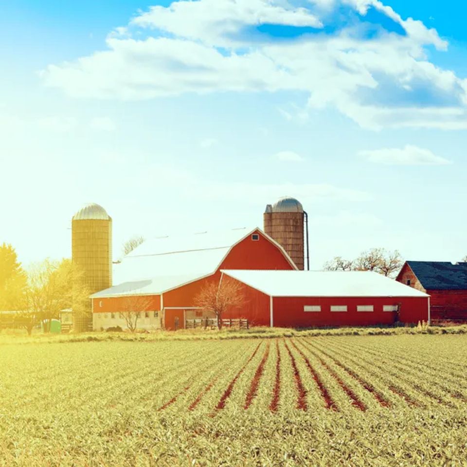 Perfect for commercial or hobby farms original