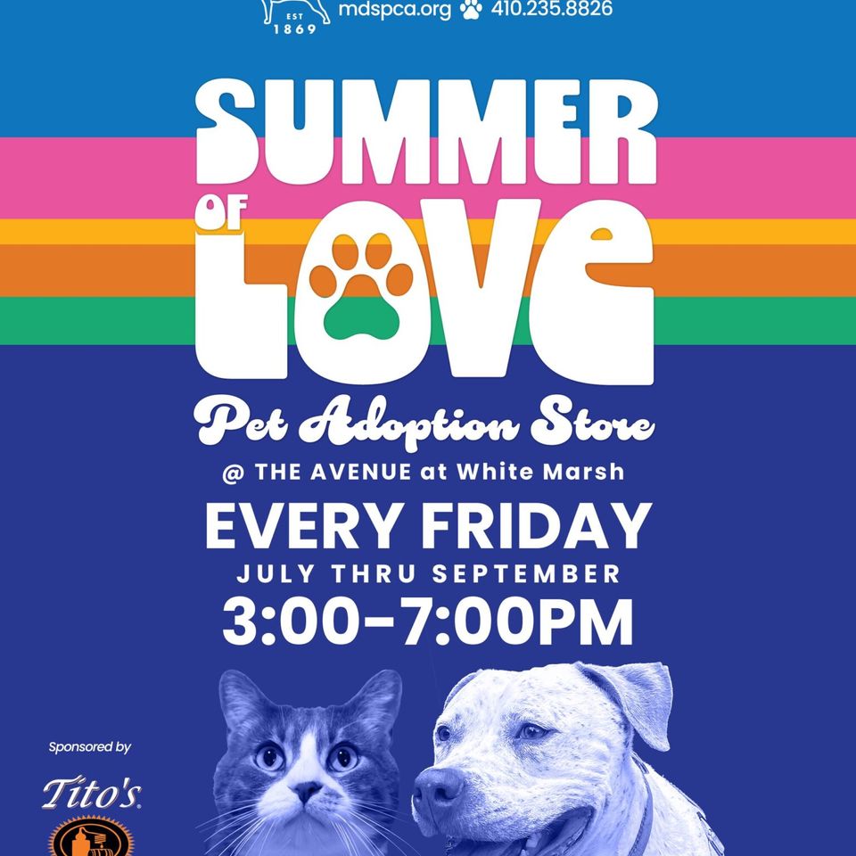 Summer of love