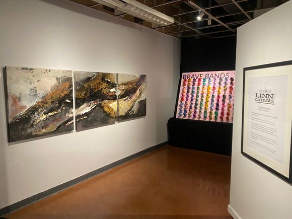 Studio lc ex 4 photo 4