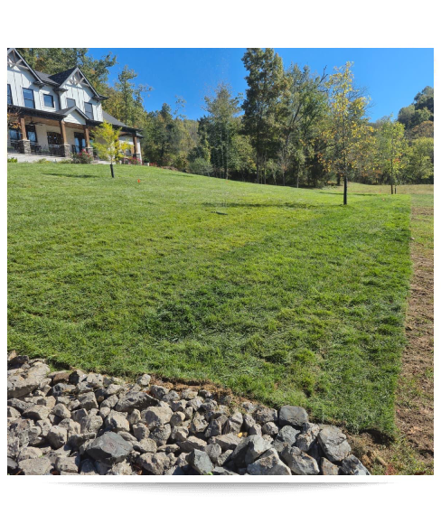 Recentproject 5 original