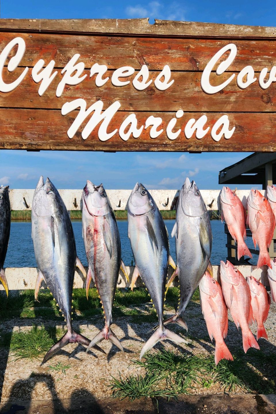 Cypress Cove Marina sign