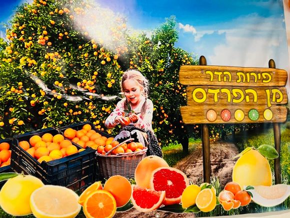 480908391 1692627579166171 7426069132841857063 n