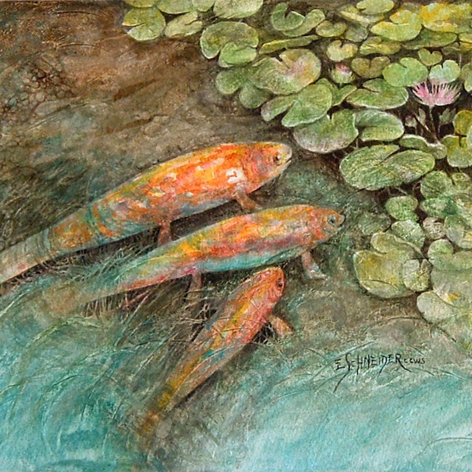 Koi trio