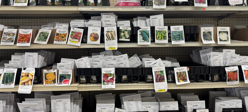 (upload from mobile 1771869603)img 5388