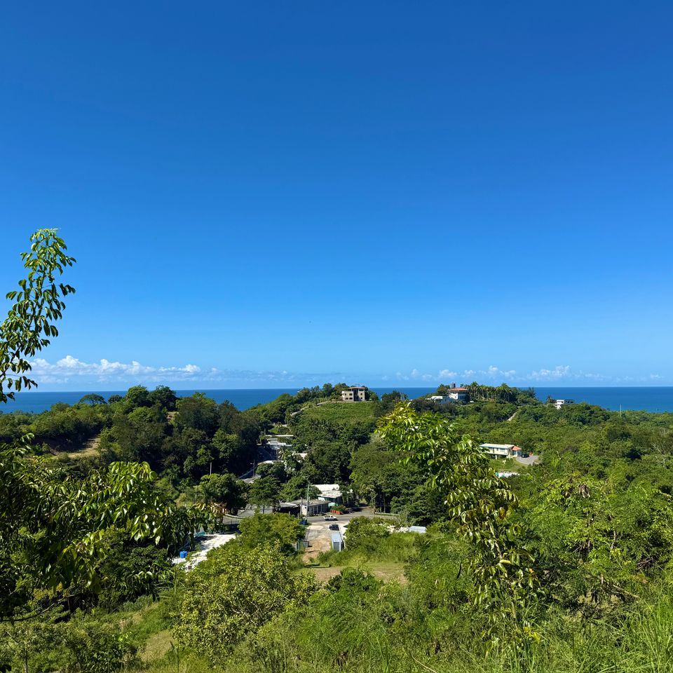 Img 3579