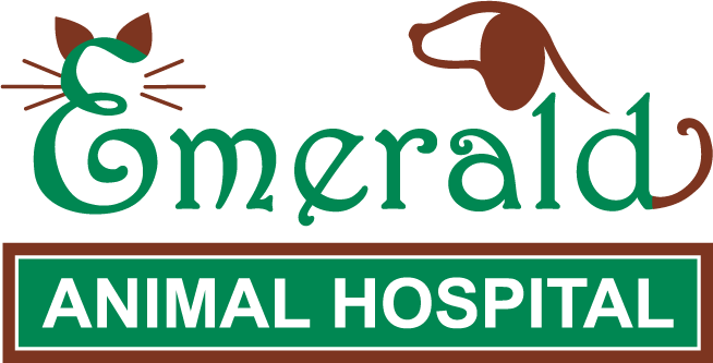 2011 07 emerald 2c logo