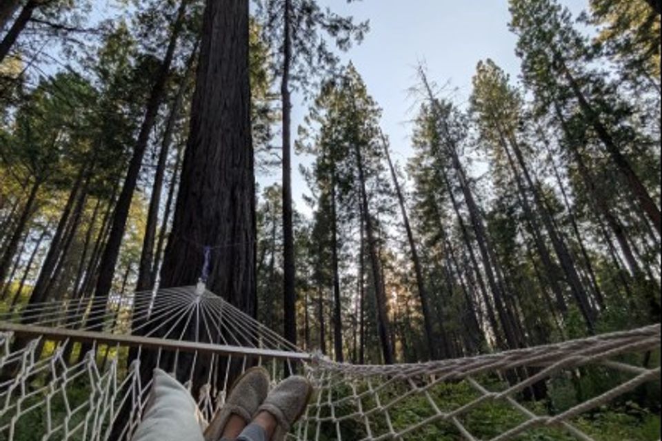 Screenshot 2026 02 18 130647