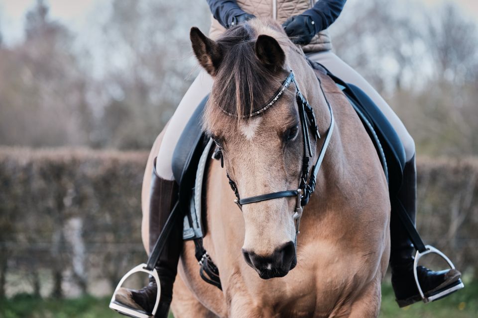 why choose horse riding club