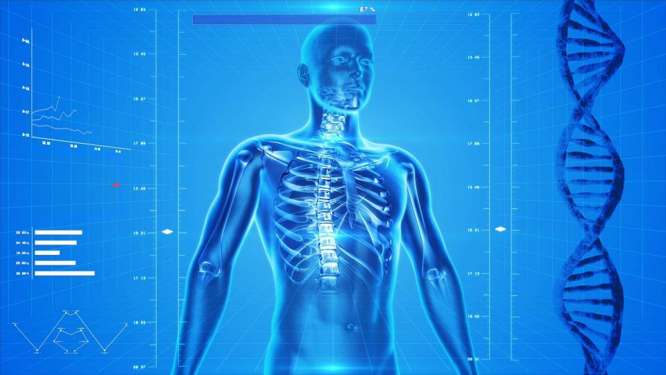 Human skeleton gbe8bd358f 1920