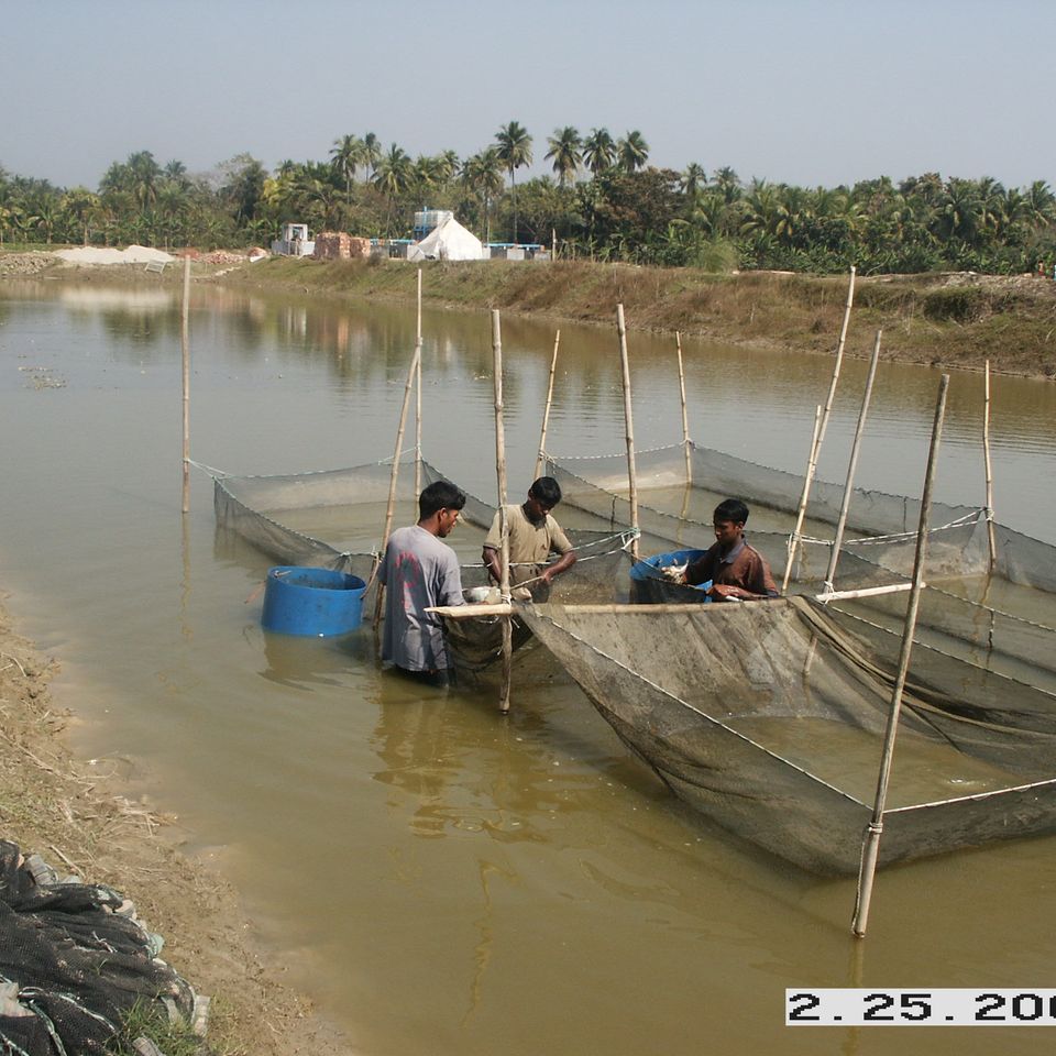 Pict0045