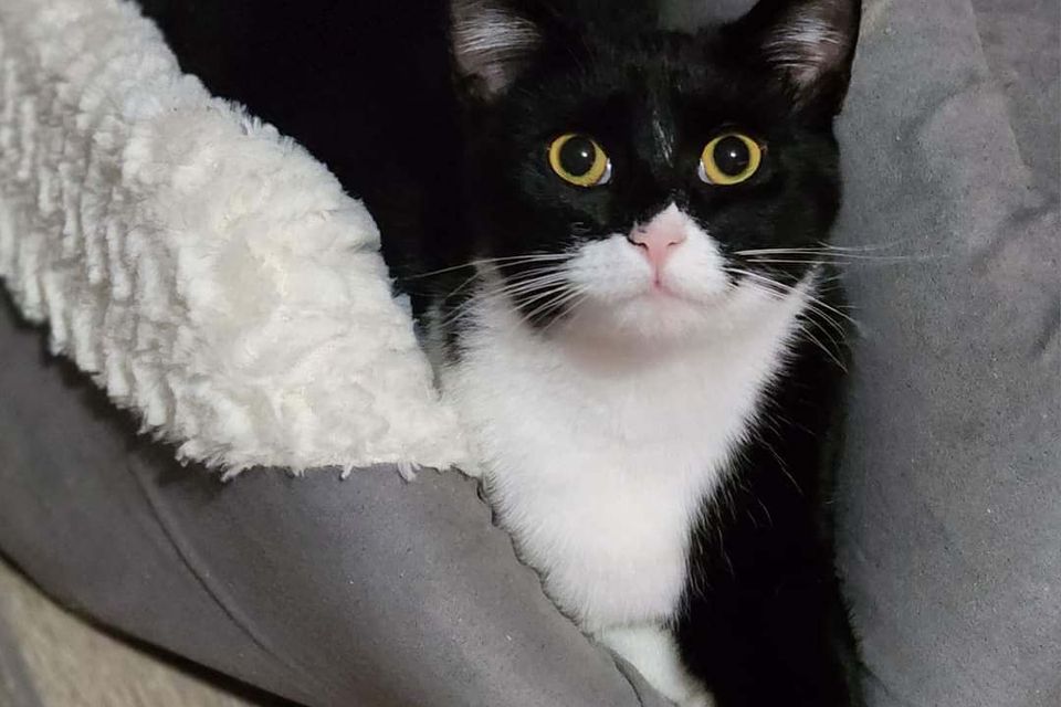 Getattachmentthumbnail (6)