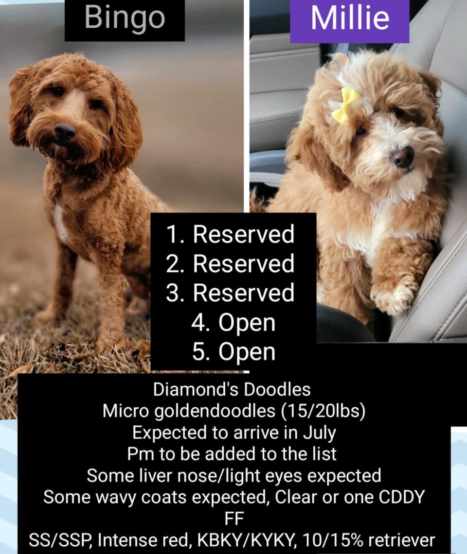1000030020