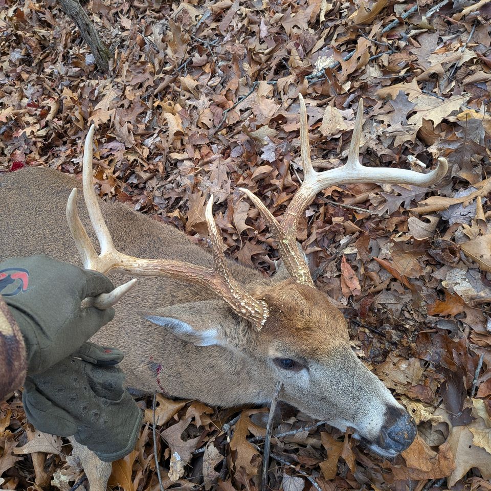 Neil Weidman of Lititz, PA harvested this 8-point buck with a 20" spread, on opening morning.