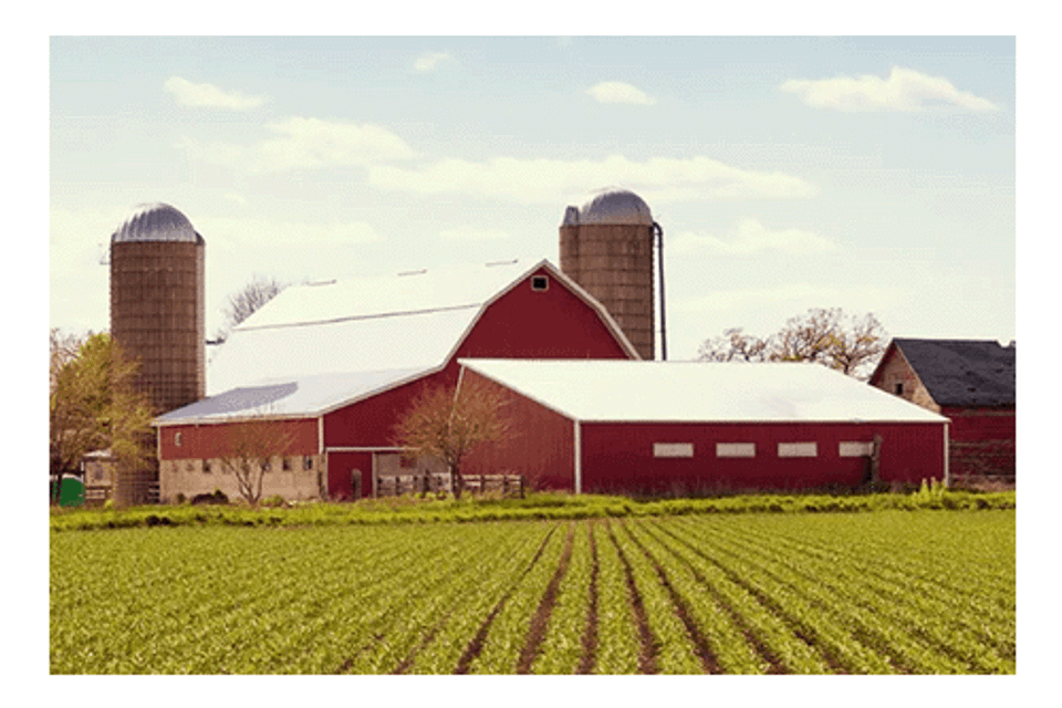 Farm house landscape